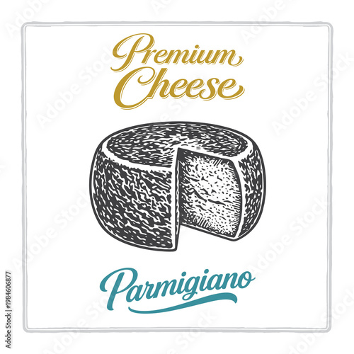 Premium Parmigiano cheese wheel with sliced wedge. Vintage engraving vector illustration for gourmet food packaging and branding. Classic Italian hard cheese artwork with elegant lettering.