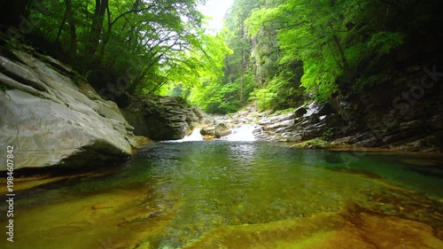 雨の面河渓