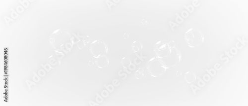 Fotografia bubble transparent, soap bubbles,PNG