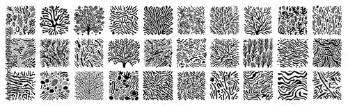 Tablou pe pânză Large collection of organic texture swatches with roots, branches and abstract l