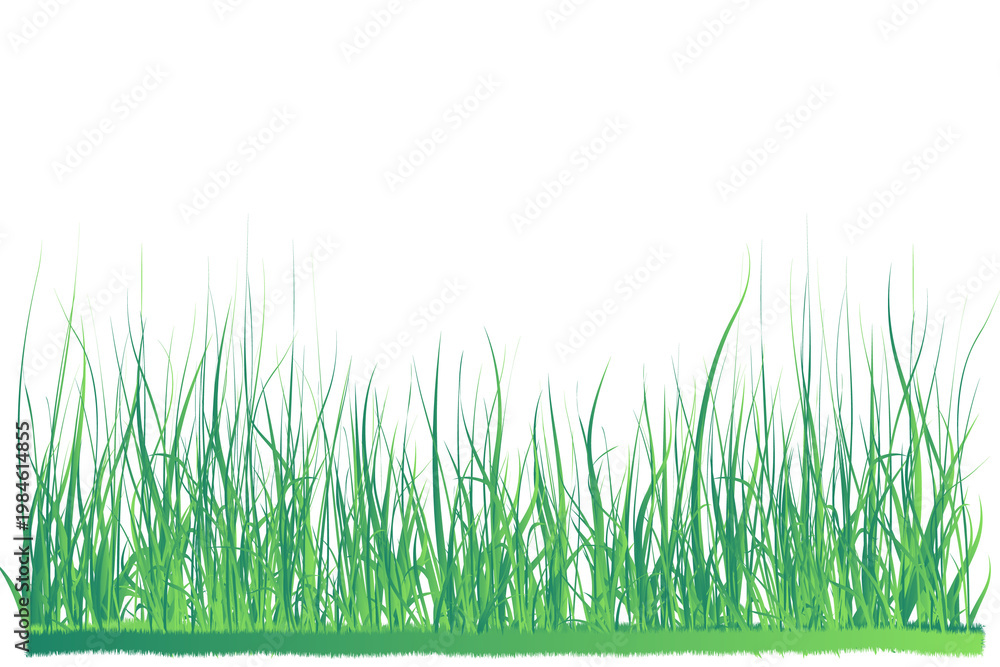 Fototapeta premium Bunches of green grass on transparent background PNG. Silhouette lines of plants for bordering and framing. Eco organic logo element for spring field garden and lawn borders.