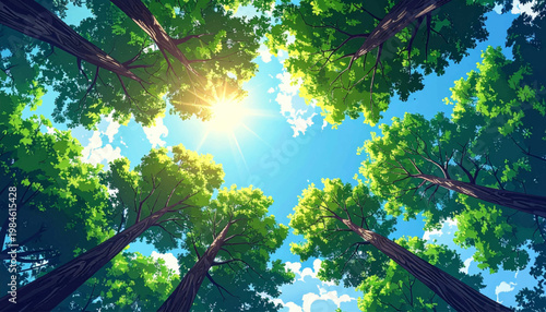 Radiant sunrise above leafy crowns in serene parkland. Summer branches surrounding clear atmosphere perspective. Botanical illustration suited retail poster branding