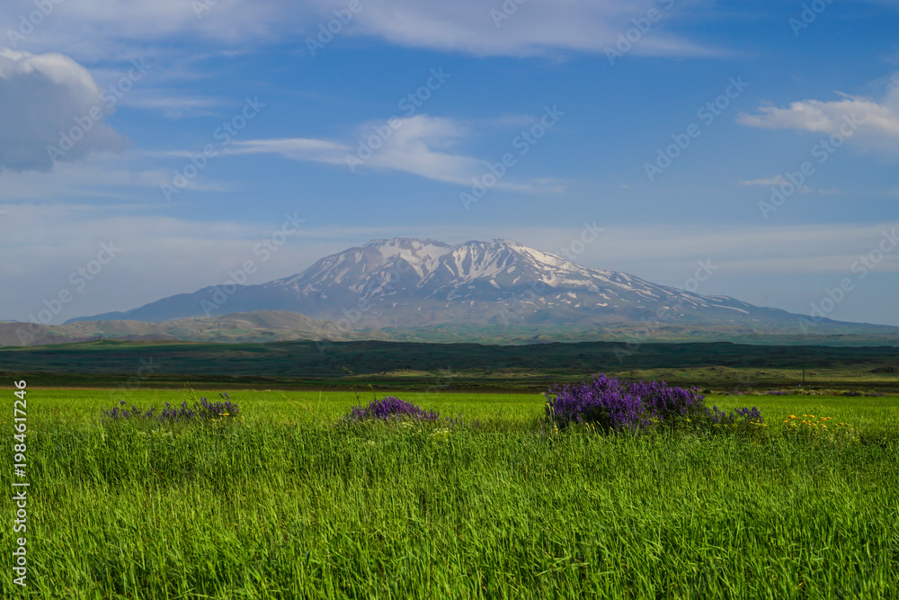 Obraz premium Image of Mount Suphan nestled among agricultural lands, against a cloudy blue sky.