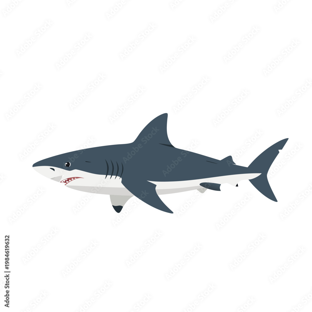 Naklejka premium Great white shark swimming isolated on plain white background