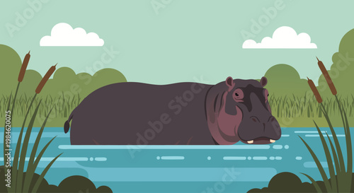 Hippopotamus submerged in river among reeds and marshland