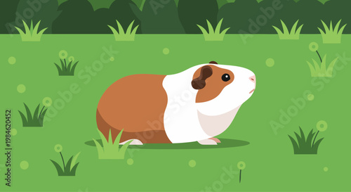 Guinea pig standing on grassy field with scattered plants