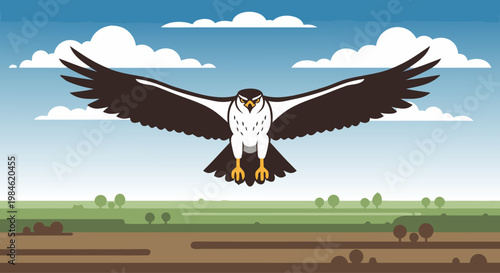 Raptor gliding with wings spread over open landscape