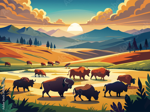 Herd of bison grazing across rolling valley at sunset