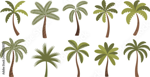 Palm trees vector set, cartoon tropical nature collection featuring exotic green leaves coconut trunks and banana tree variations, jungle rainforest plants with fruits and lush island vibes, 