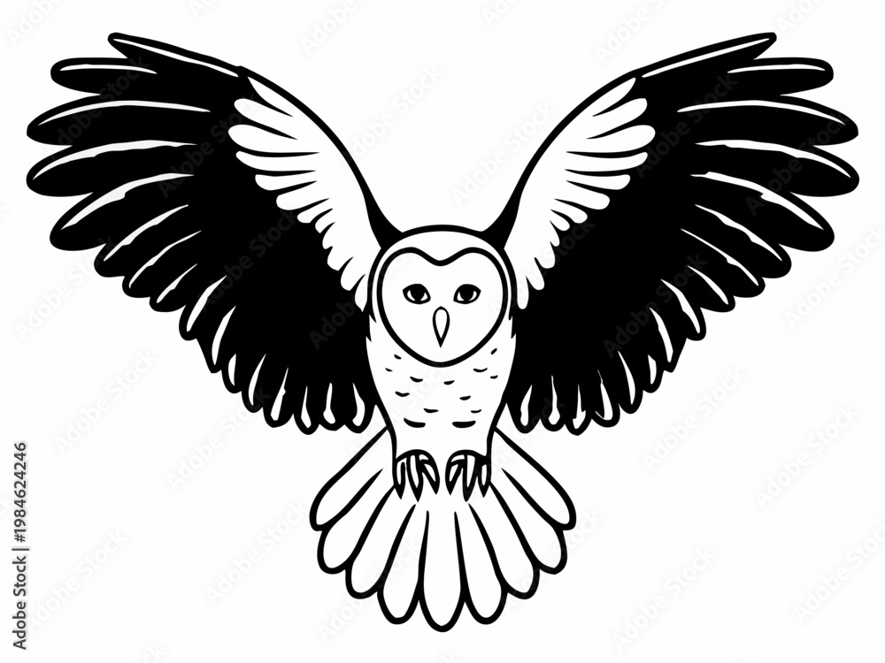 Obraz premium Barn owl descending with wings fully extended in flight