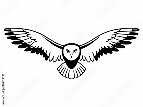 Barn owl gliding with wings spread in plain background