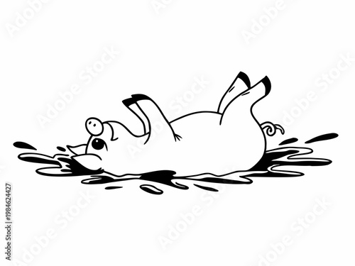 Pig rolling on back in mud puddle in open farmyard