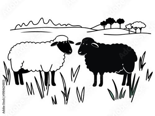 Two sheep standing facing each other in grassy field