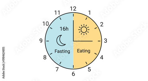 Illustration of intermittent fasting schedule showing fasting and eating periods on a clock.