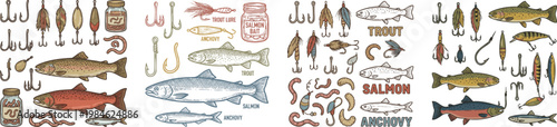 Collection of Colored doodle fishing hooks, lures, baits and fishes. Vintage trout, salmon, anchovy clipart. Vector retro illustrations of fishing equipment, isolated on white
