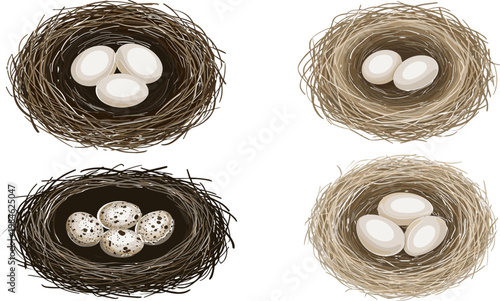 Bird Nest and Egg Icon Set with Different Egg Types for Wildlife, Nature, and Spring Designs