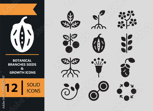 Botanical Branches Seeds Growth Solid Icons Natural Plant Elements Set