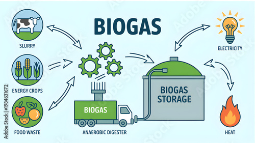 The biogas process generates electricity from food waste and slurry through anaerobic digestion.