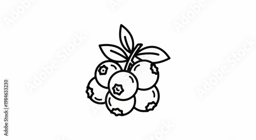 Stylized line drawing of a cluster of ripe blueberries with leaves