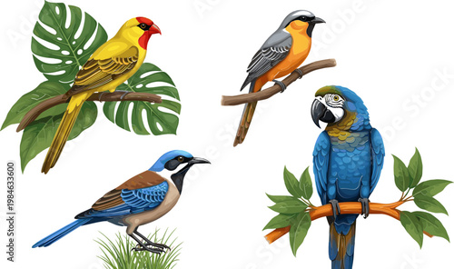 Exotic Bird Illustration Set with Colorful Parrots, Macaws, and Tropical Birds for Nature, Wildlife, and Animal Design