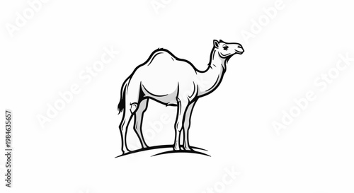 Stylized black and white illustration of a dromedary camel standing on a curved line