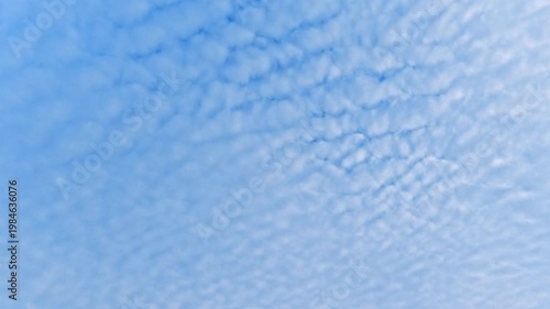 一面に広がるうろこ雲と爽やかな青空 エコ