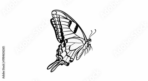 Stylized black and white drawing of a butterfly with open wings