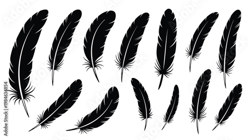 Diverse collection of black feather silhouettes in different shapes and sizes arranged on a plain white background.