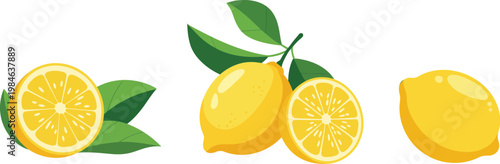 Citrus lemon fruit vector set, fresh yellow lemon illustrations including whole lemons and sliced halves with seeds and leaves, juicy realistic texture with bright highlights, isolated clean elements 