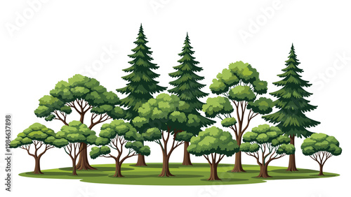 Beautiful cluster of various deciduous and coniferous trees including pines and leafy oaks standing together on a patch of green grass.