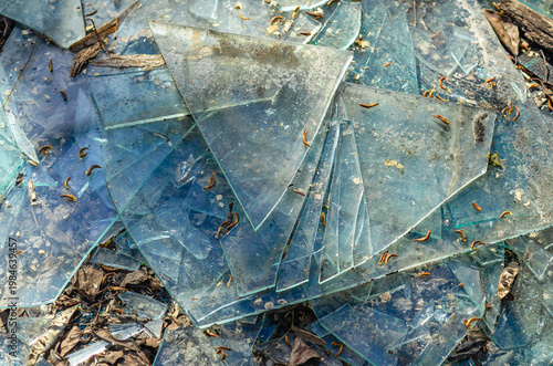 Shattered glass on ground with dirt and leaves. Crime scene, danger and forensic investigation.