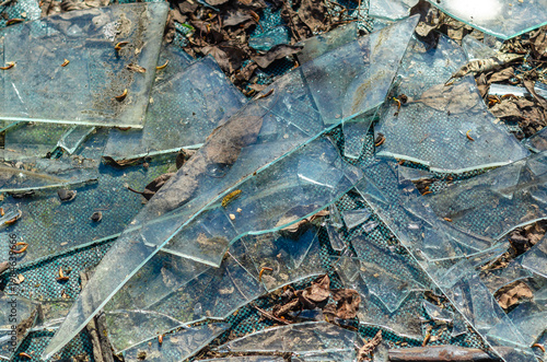Shattered glass pieces outdoors among dirt and dry leaves. Sharp fragments, hazardous texture.