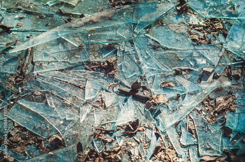 Broken glass pieces on ground with dry leaves and dirt. Danger, damage, pollution and unsafe.