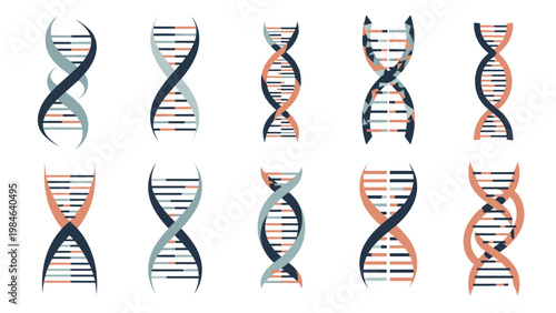 Set of ten various double helix DNA structures in different colors and patterns used for scientific and genetic illustration.