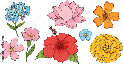 Set of Colorful Flower Vector Collection with Hibiscus, Lotus, Marigold, and Forget-Me-Not for Spring and Summer Designs