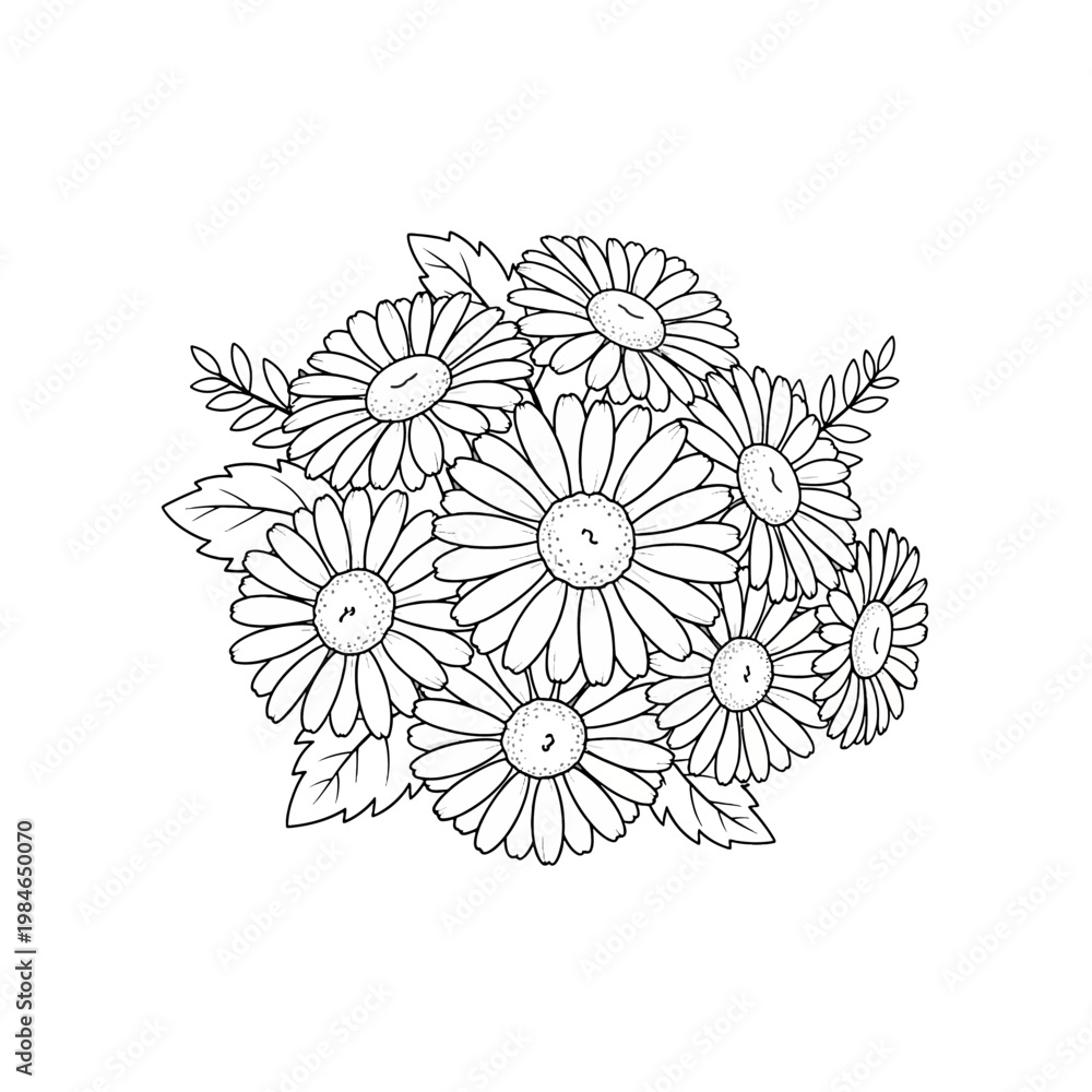 Fototapeta premium Line art Daisy flower on white 