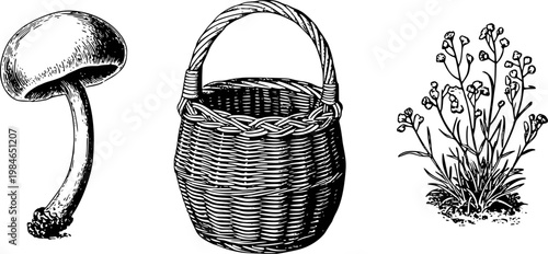 Vintage black and white of mushroom, woven basket, and wildflowers white background