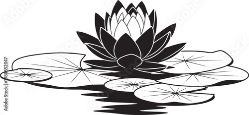 Black and white lotus flower with lily pads on water