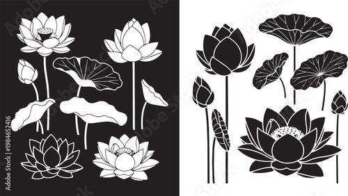 Black and white lotus flowers and leaves on contrasting backgrounds