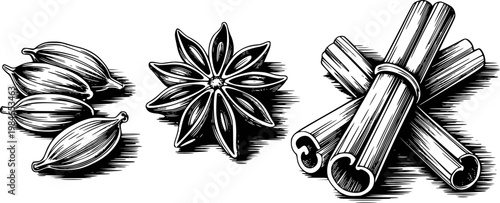 Vintage engraving style of cardamom pods, star anise, and cinnamon sticks white background