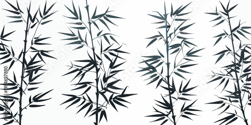 Elegant bamboo stalks create a minimalist graphic pattern on white