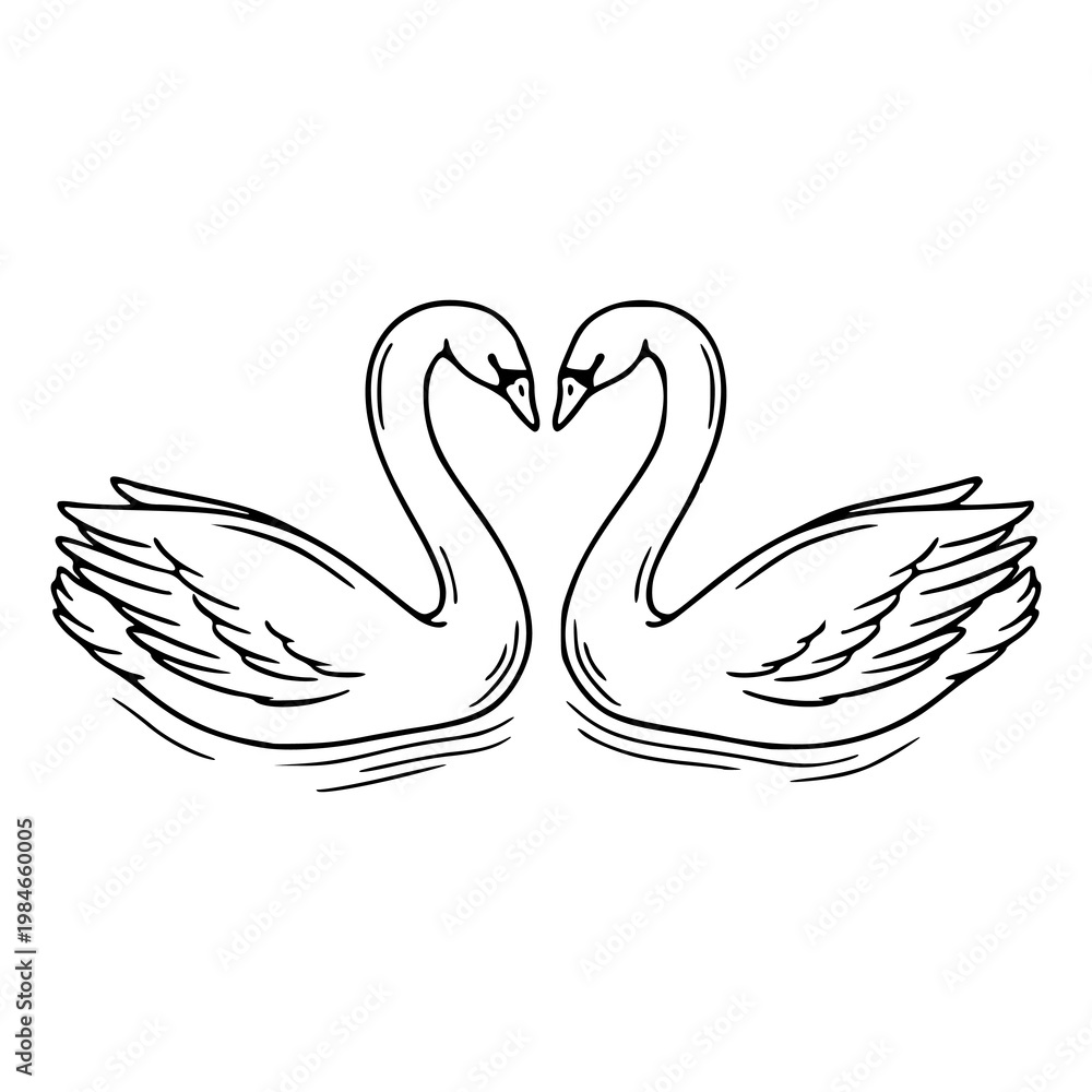 Fototapeta premium two swans forming a heart shape love for wedding design