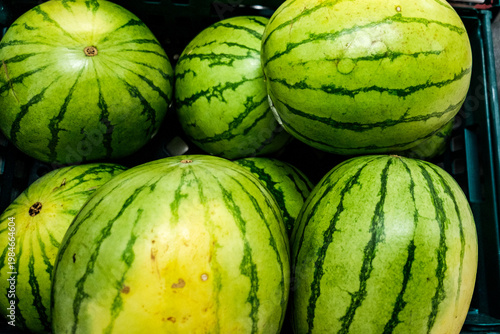 Pile of Whole Fresh Watermelons Healthy Fruit With No People