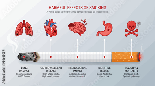 Harmful Effects of Smoking: A detailed infographic illustrating how cigarettes damage lungs, heart, and overall health.