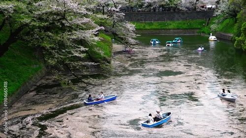 Cherry Blossoms and Boats at Chidorigafuchi - 千鳥ヶ淵の桜とボート