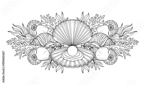 Ornate shell vector pearl nautilus botanical vintage decorative design