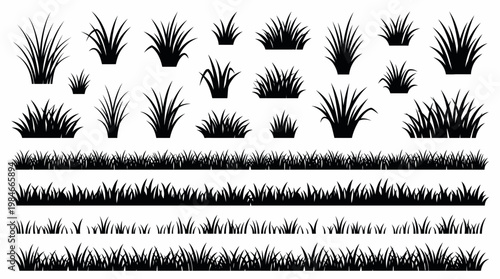 Black grass silhouettes collection with various plant tufts and seamless horizontal border patterns on white, concept for landscape architectural design, garden web elements and nature art