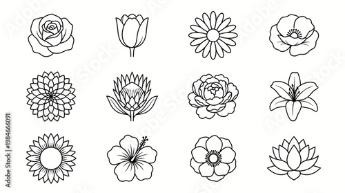 Collection of black-and-white floral line art illustrations featuring roses, tulips, daisies, sunflowers and other blossoms in elegant outline drawings.