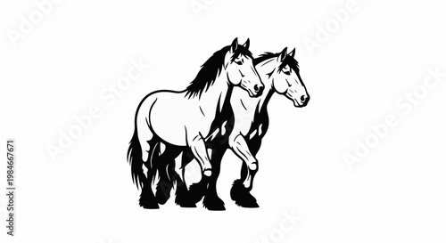 Two black and white horses with flowing manes and tails walk side-by-side