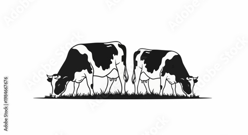 Two black and white cows grazing on a grassy field, minimalist illustration